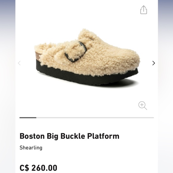 Boston Big Buckle Birks - Picture 1 of 6
